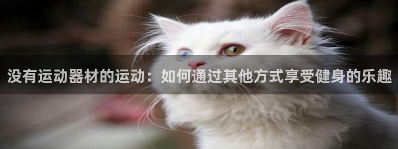 哈哈体育新能源：没有运动器材的运动：如何通过其他方式享受健身