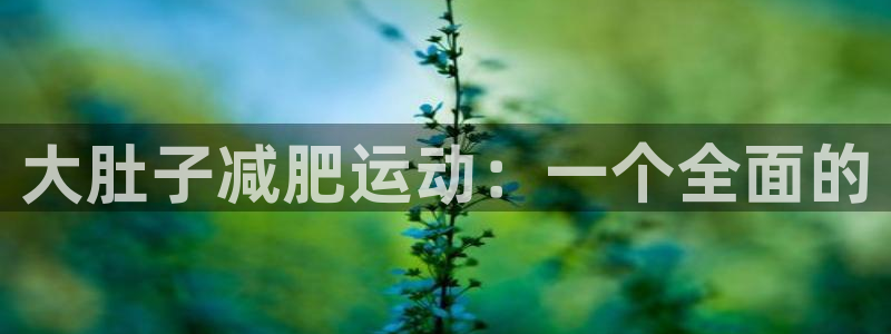 哈哈体育集团官网首页网址：大肚子减肥运动：一个全面的