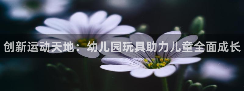 哈哈体育娱乐40996：创新运动天地：幼儿园玩具助力