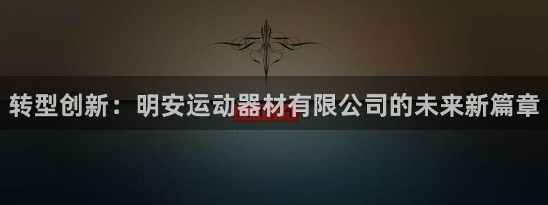 哈哈体育平台假的吗是真的吗吗：转型创新：明安运动器材有限公司
