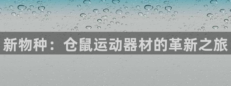 哈哈体育娱乐下载：新物种：仓鼠运动器材的革新之旅