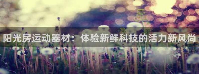 哈哈体育平台注册要钱吗：阳光房运动器材：体验新鲜科技的活力新