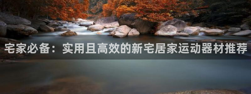 哈哈体育集团官网首页网址：宅家必备：实用且高效的新宅